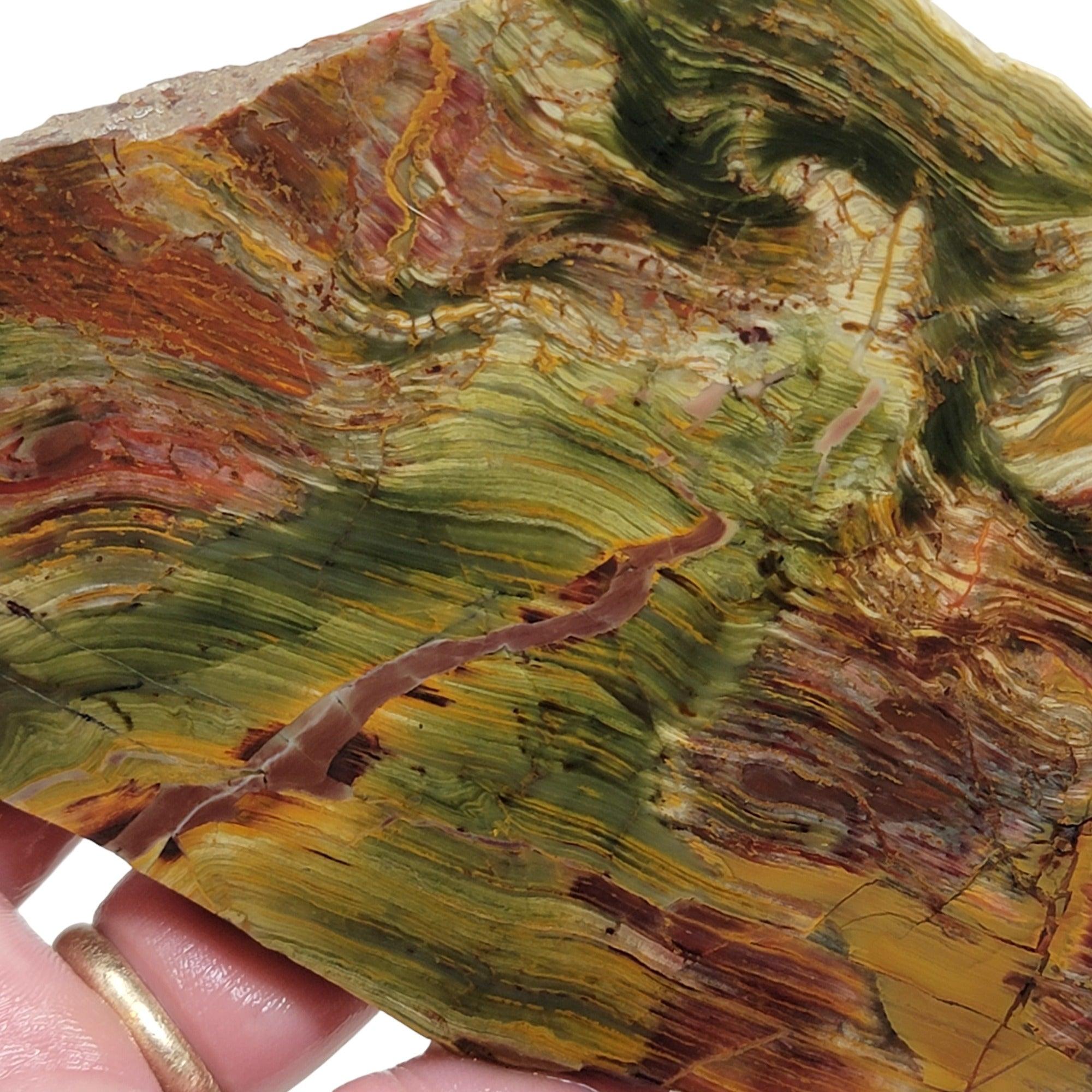 New Vein Kaleidoscope Jasper Slab! Lapidary Stone Slab! - Lapidary Central