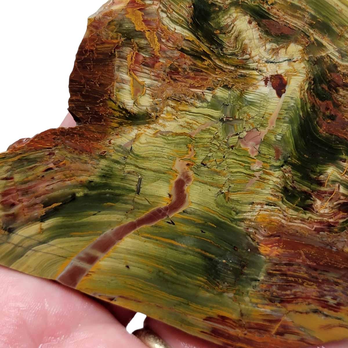 New Vein Kaleidoscope Jasper Slab! Lapidary Stone Slab! - Lapidary Central