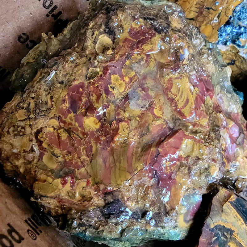 Kaleidoscope Jasper Cutting Trimmer Rough Flatrate! - LapidaryCentral