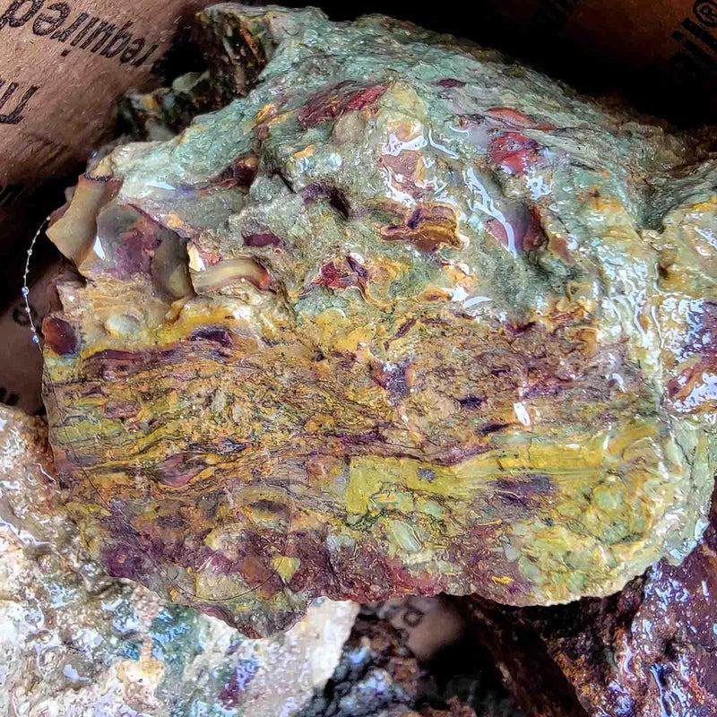 Kaleidoscope Jasper Cutting Trimmer Rough Flatrate! - LapidaryCentral