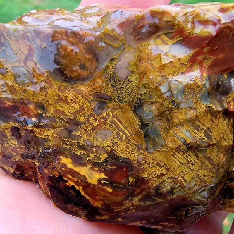 One Pound Random Pull RARE Oregon Kaleidoscope Jasper Tumbling-Trimmer Rough! - LapidaryCentral