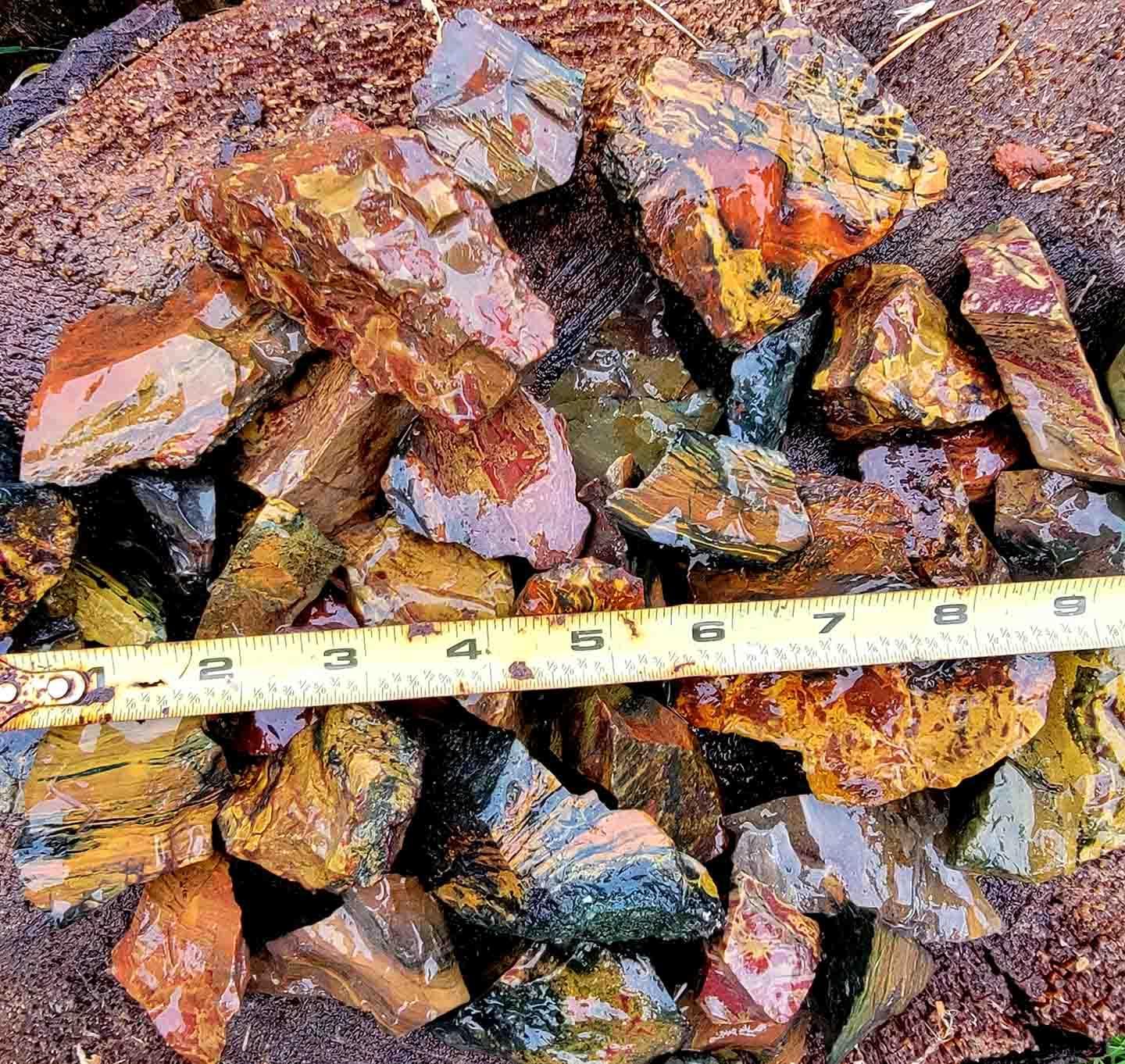 Random Pull RARE Oregon Kaleidoscope Jasper Tumbling-Trimmer Rough!