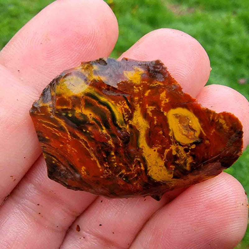 One Pound Random Pull RARE Oregon Kaleidoscope Jasper Tumbling-Trimmer Rough! - LapidaryCentral