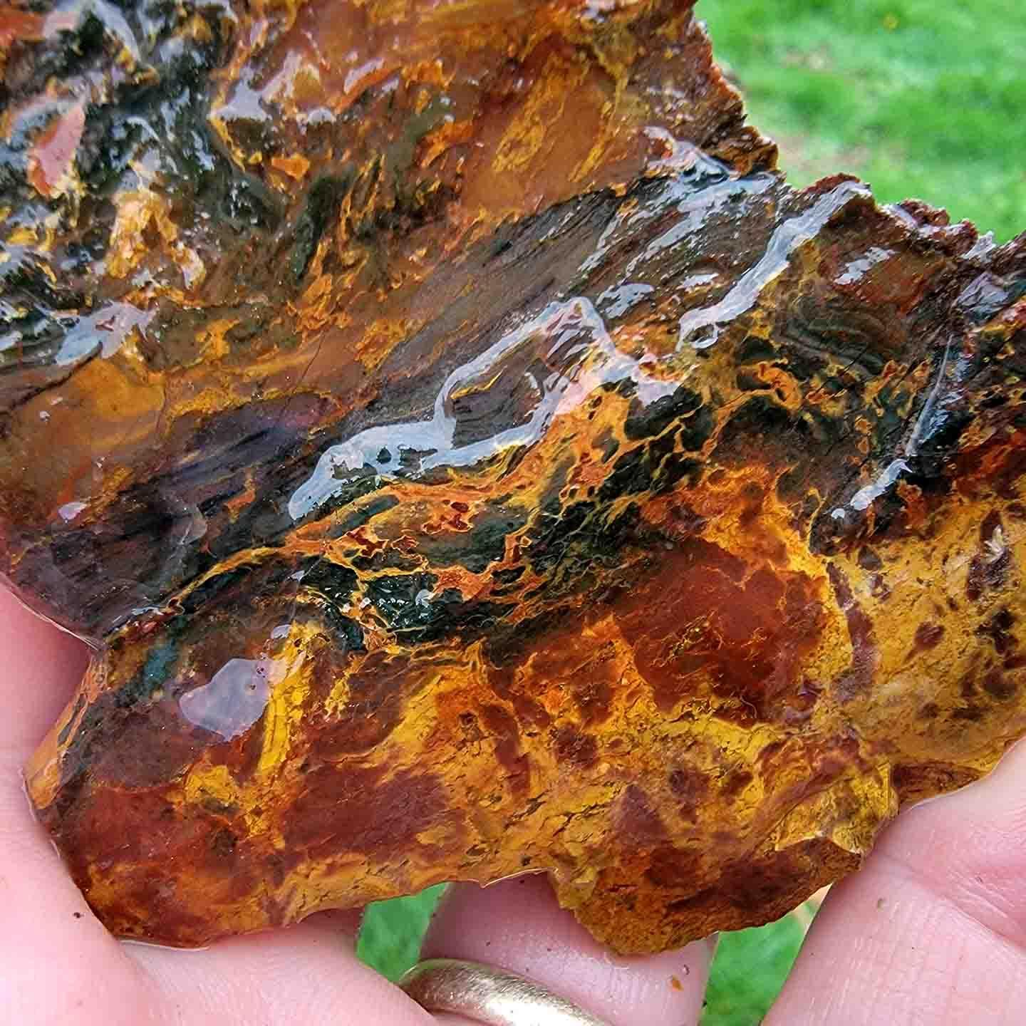 HUGE 13.5+ hotsell oz tri color Oregon Jasper