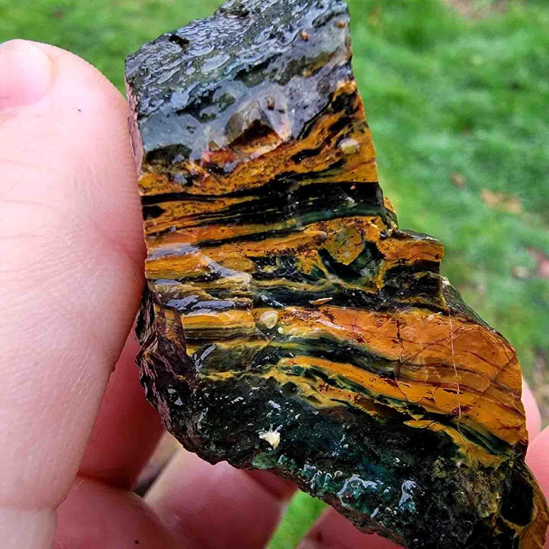One Pound Random Pull RARE Oregon Kaleidoscope Jasper Tumbling-Trimmer Rough! - LapidaryCentral