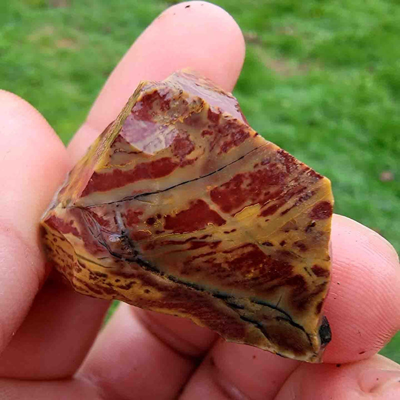 One Pound Random Pull RARE Oregon Kaleidoscope Jasper Tumbling-Trimmer Rough! - LapidaryCentral