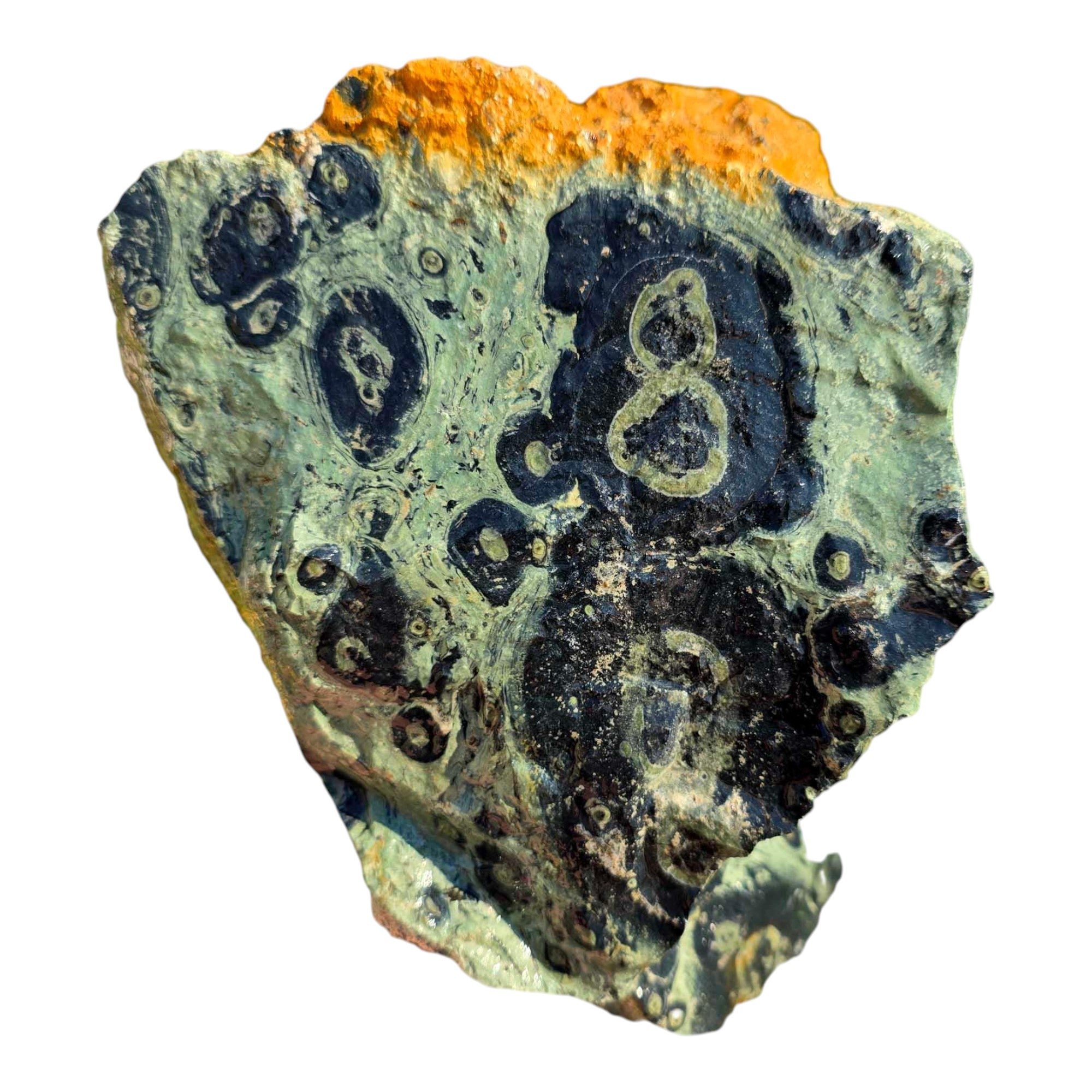 Kambaba Jasper Rough Chunk Large Orbicular Patterns Prime Cutting Mate