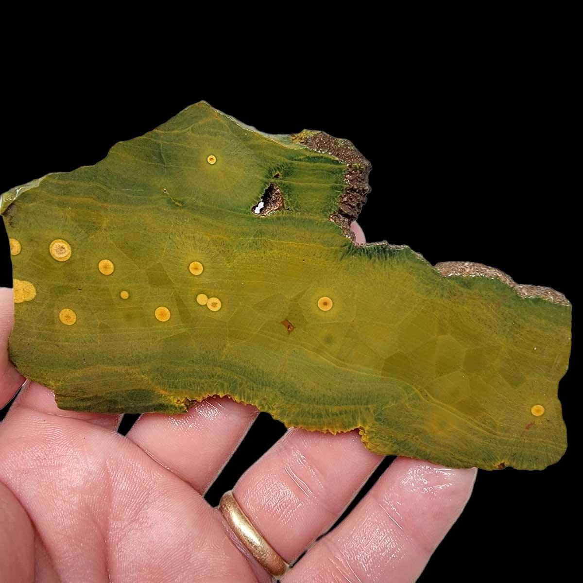 Kambaby Ocean Jasper Slab!  Lapidary Stone Slab! - LapidaryCentral