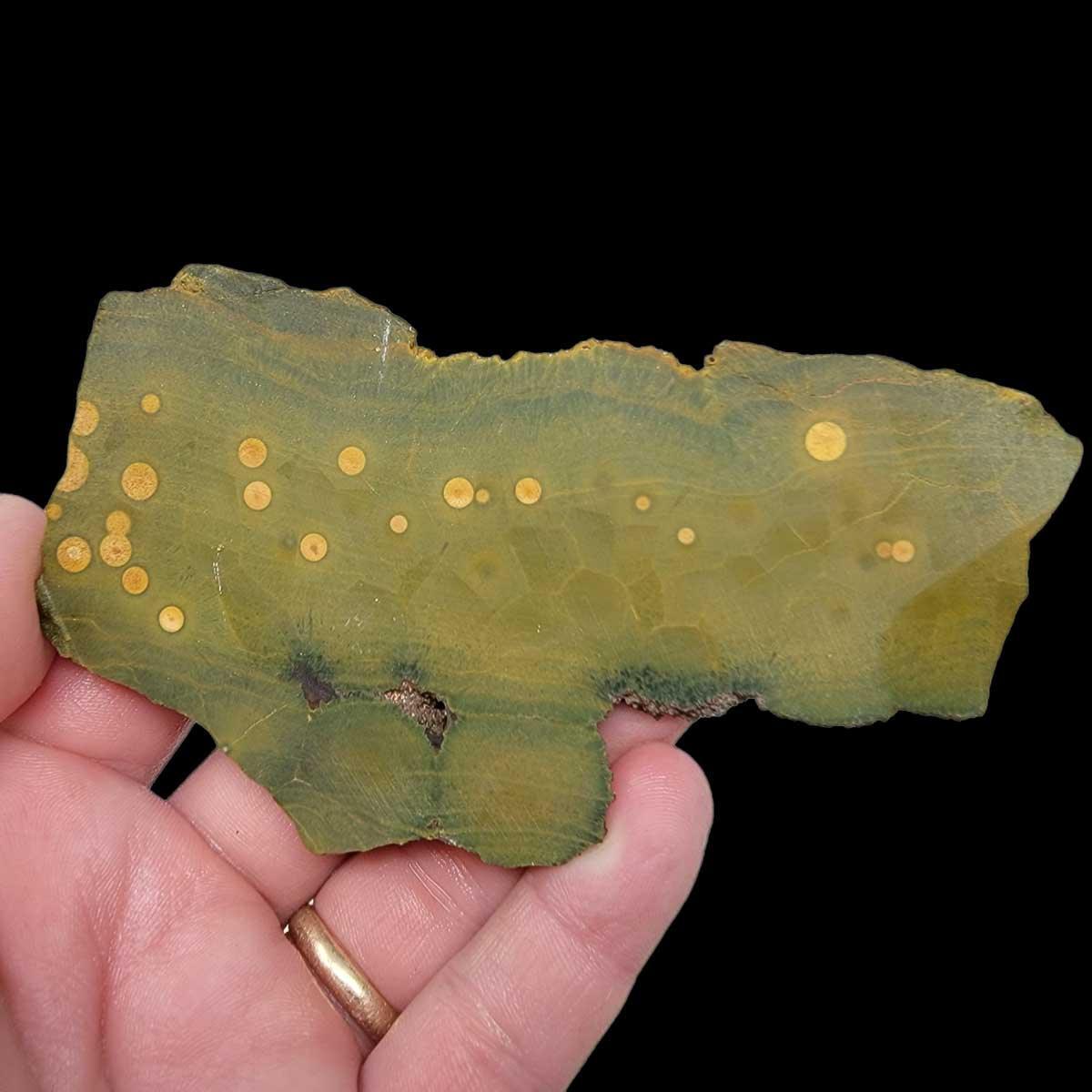 Kambaby Ocean Jasper Slab!  Lapidary Stone Slab! - LapidaryCentral