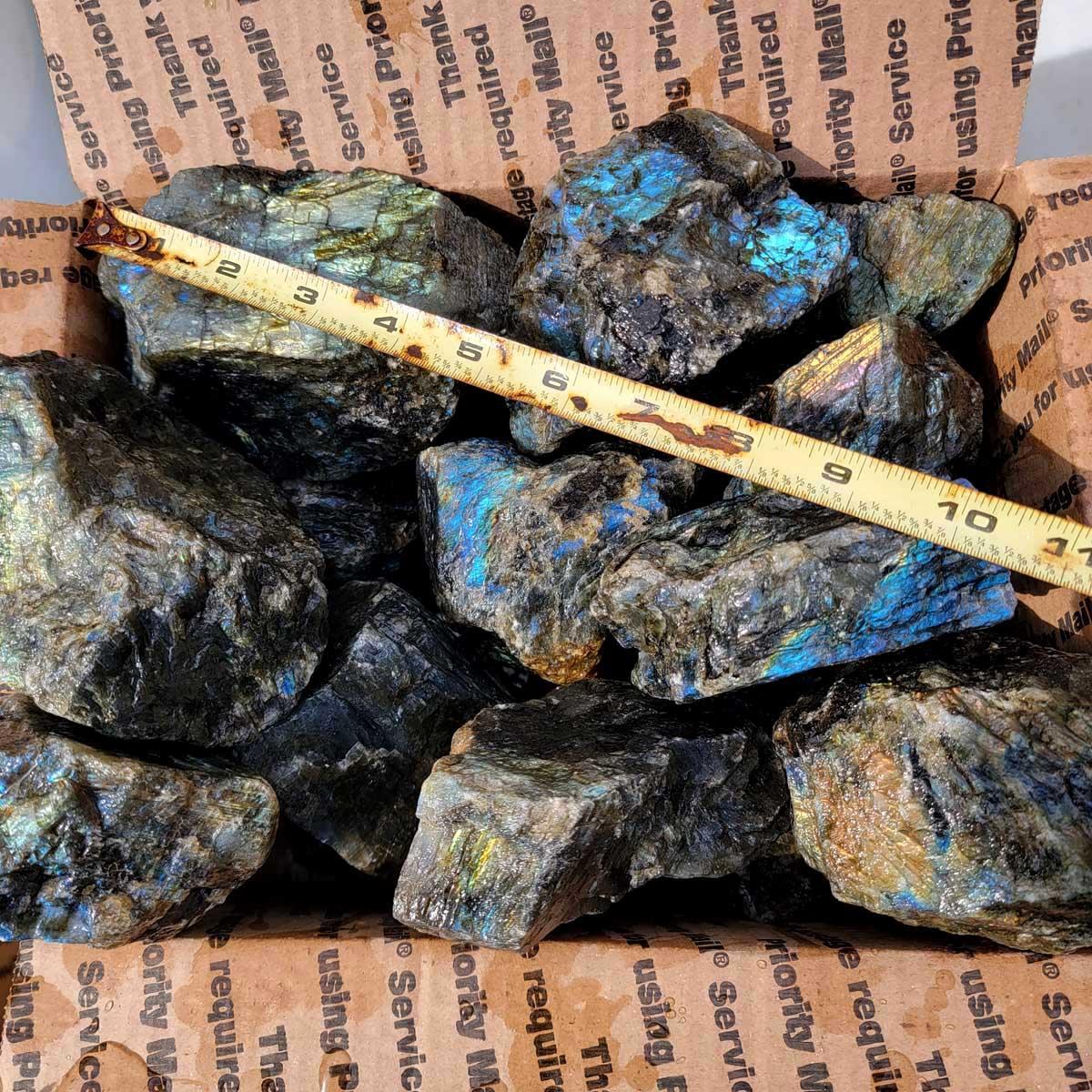 High Grade Labradorite Cutting Rough Batch with Good Flash! - LapidaryCentral