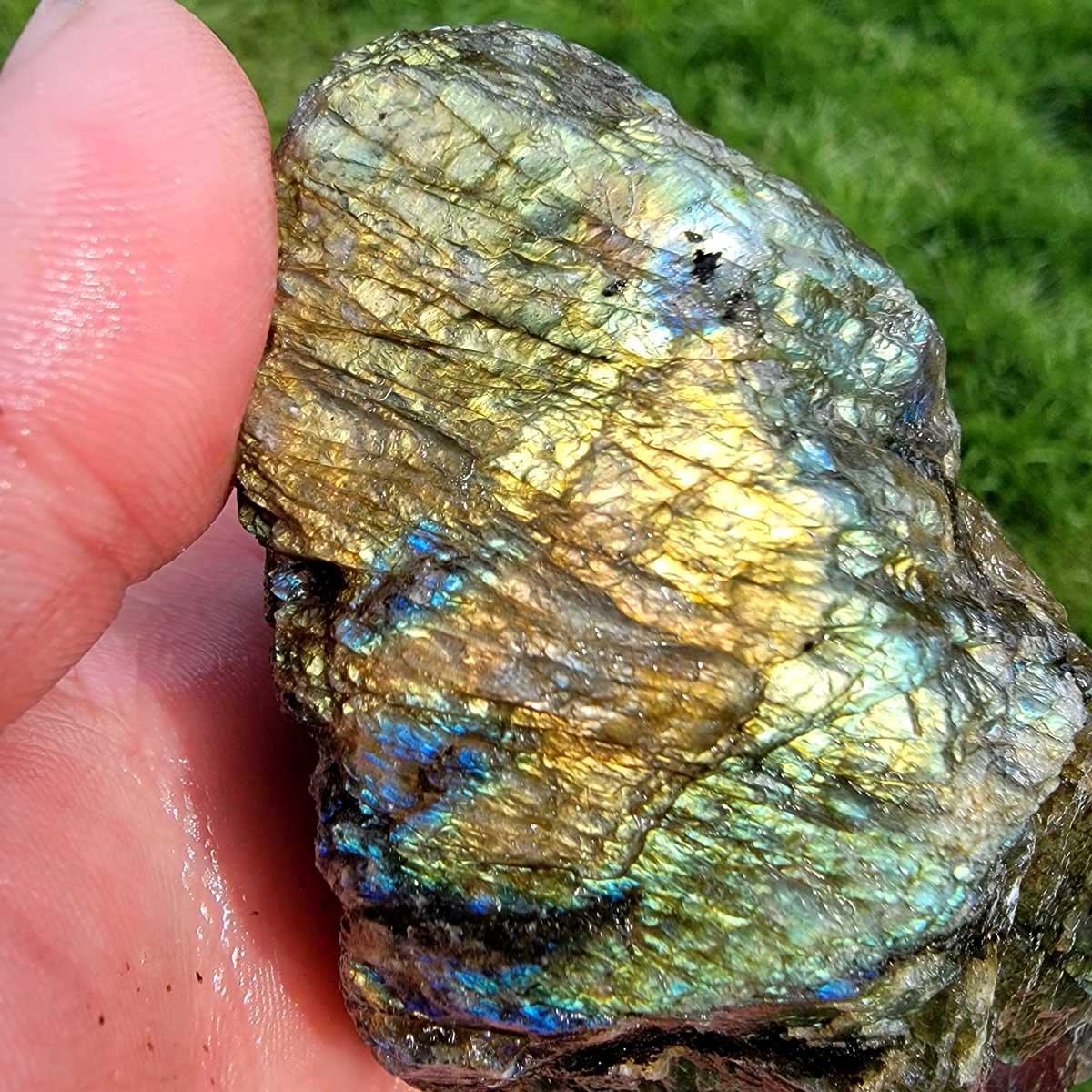 High Grade Labradorite Cutting Rough Batch with Good Flash! - LapidaryCentral