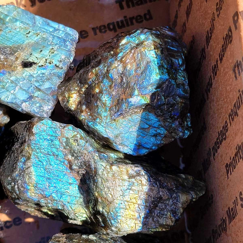 High Grade Labradorite Cutting Rough Batch with Great Flash! - LapidaryCentral
