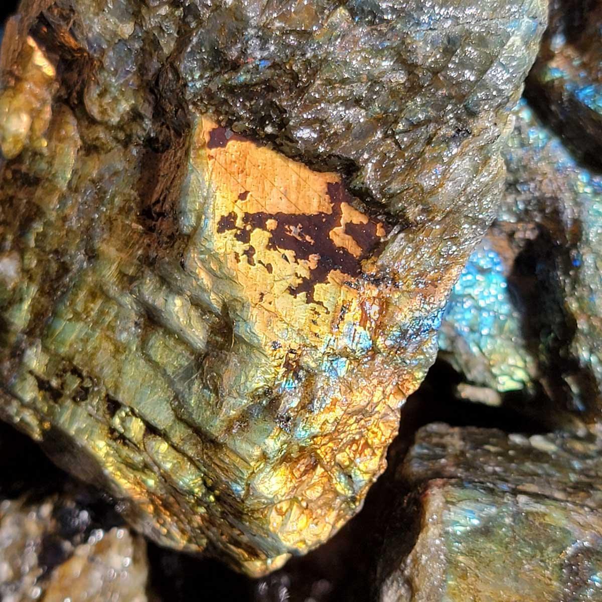 High Grade Labradorite Cutting Rough Batch with Great Flash! - LapidaryCentral