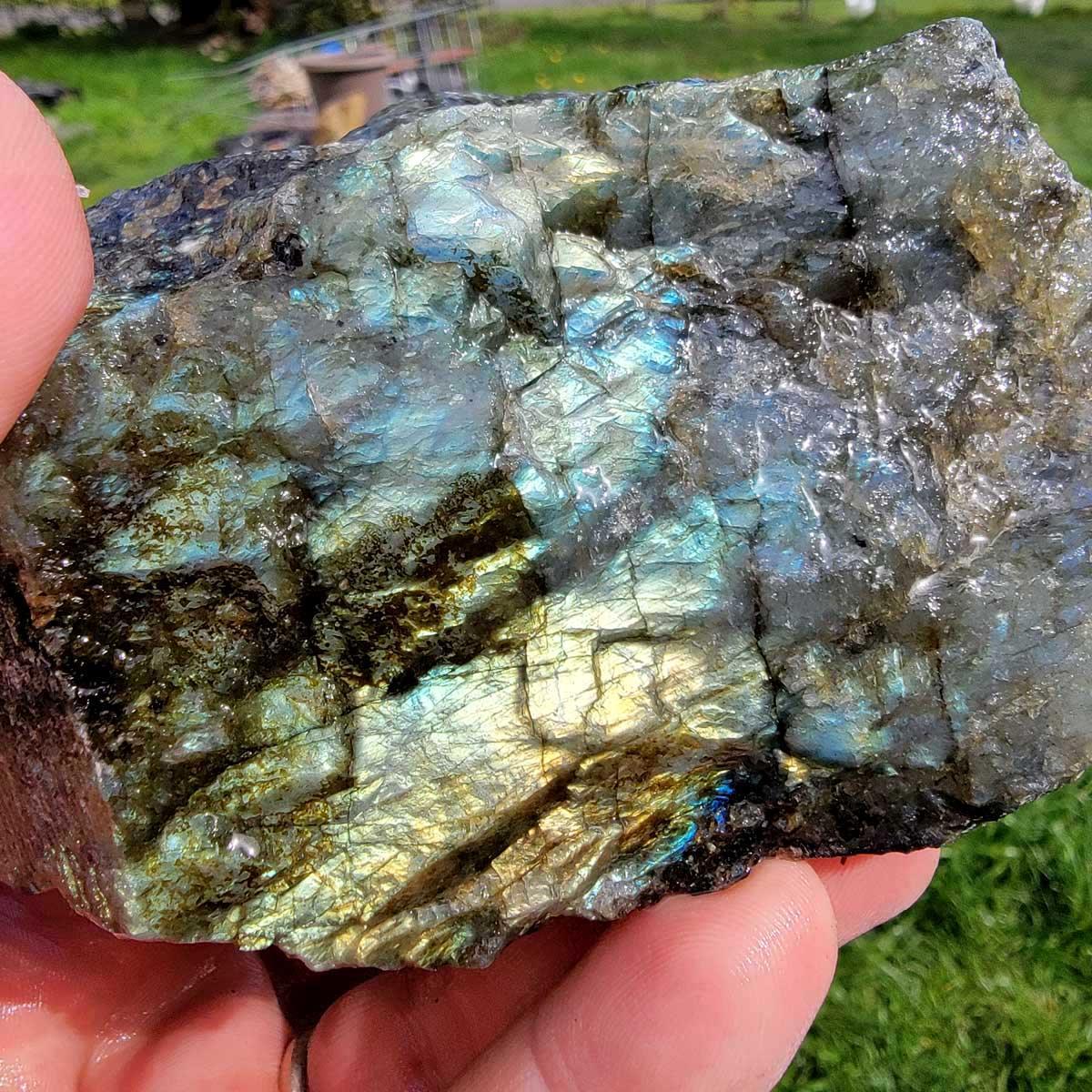 High Grade Labradorite Cutting Rough Batch with Good Flash! - LapidaryCentral