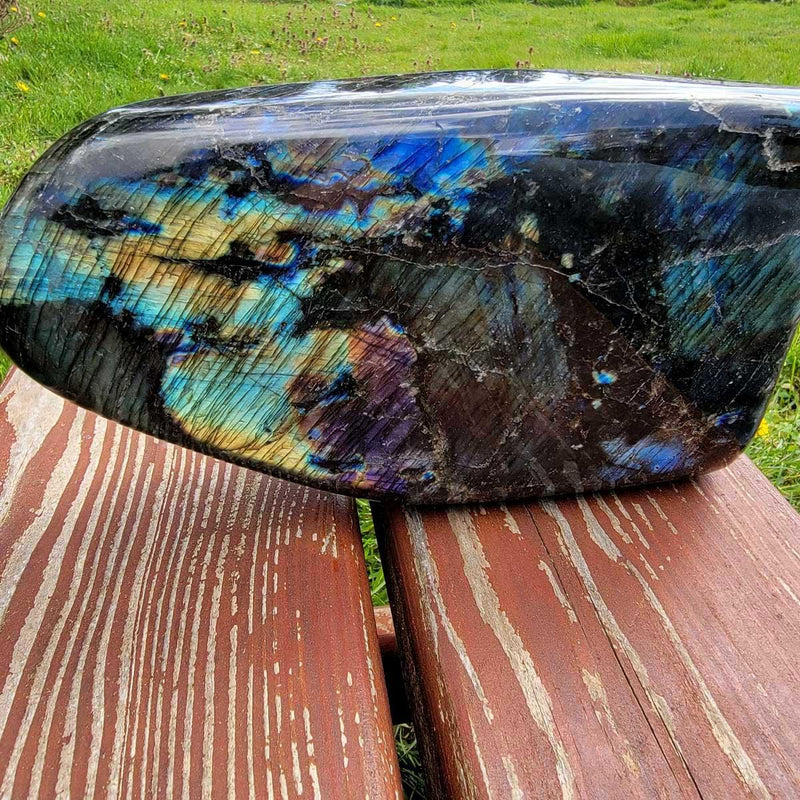Polished AAA Labradorite Display Specimen!  High Grade! - LapidaryCentral