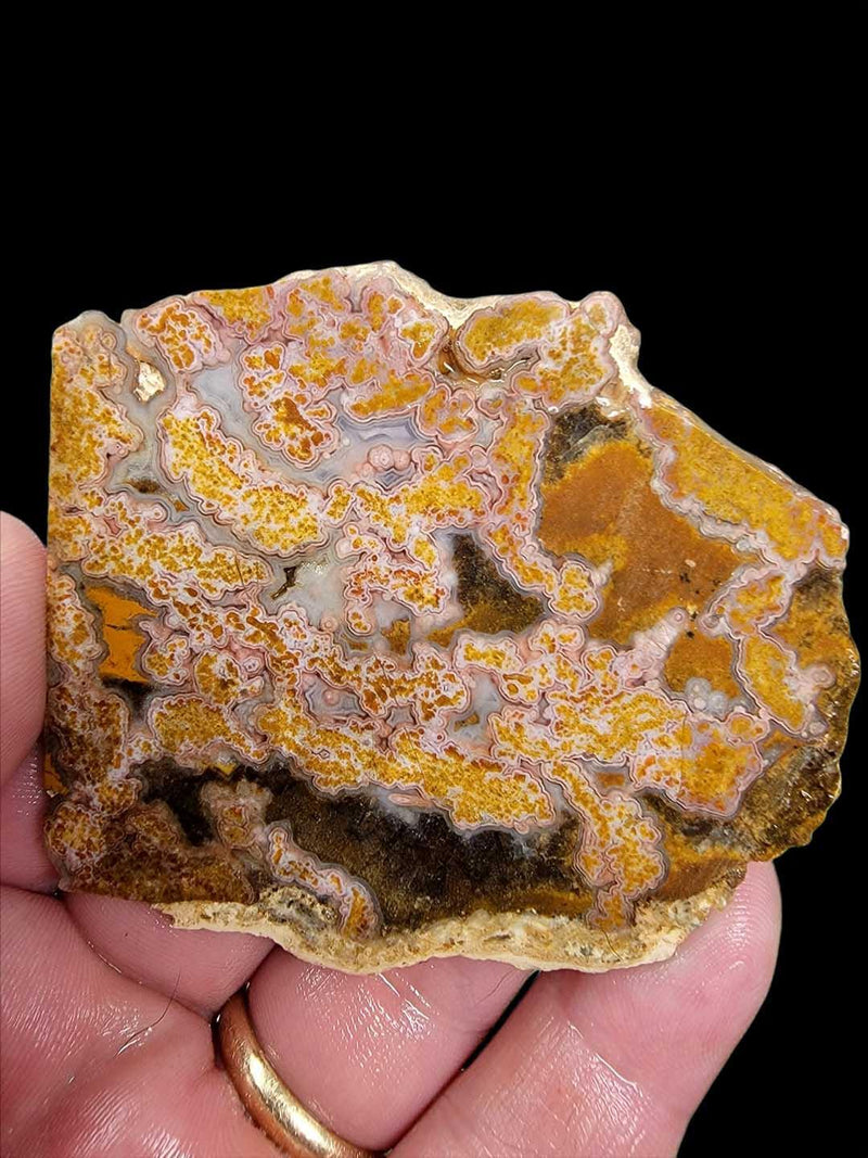Old Stock Calico Lace Agate Slab!  Lapidary Stone Slab! - LapidaryCentral