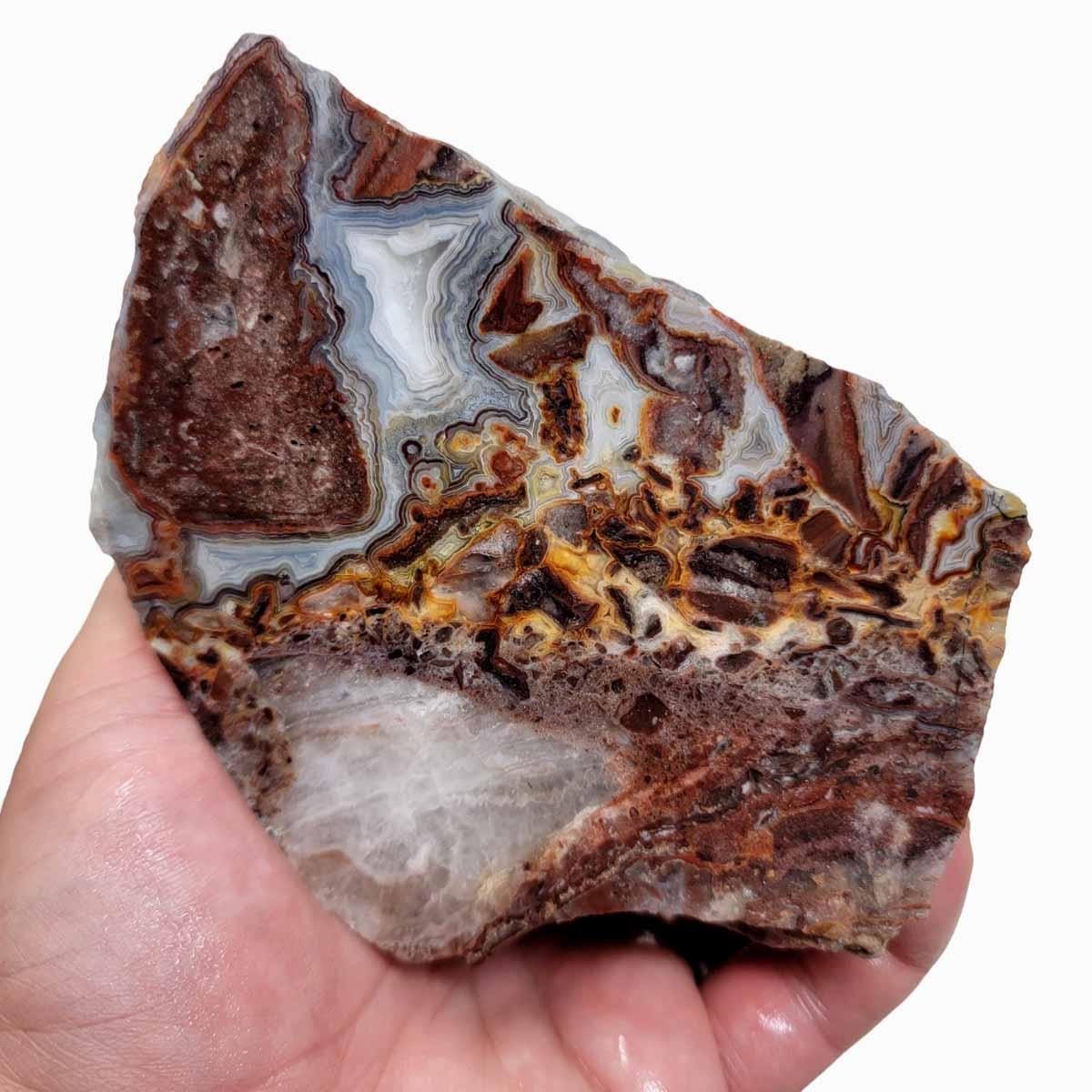 Laguna Lace Agate Cut Rough Chunk! - Lapidary Central