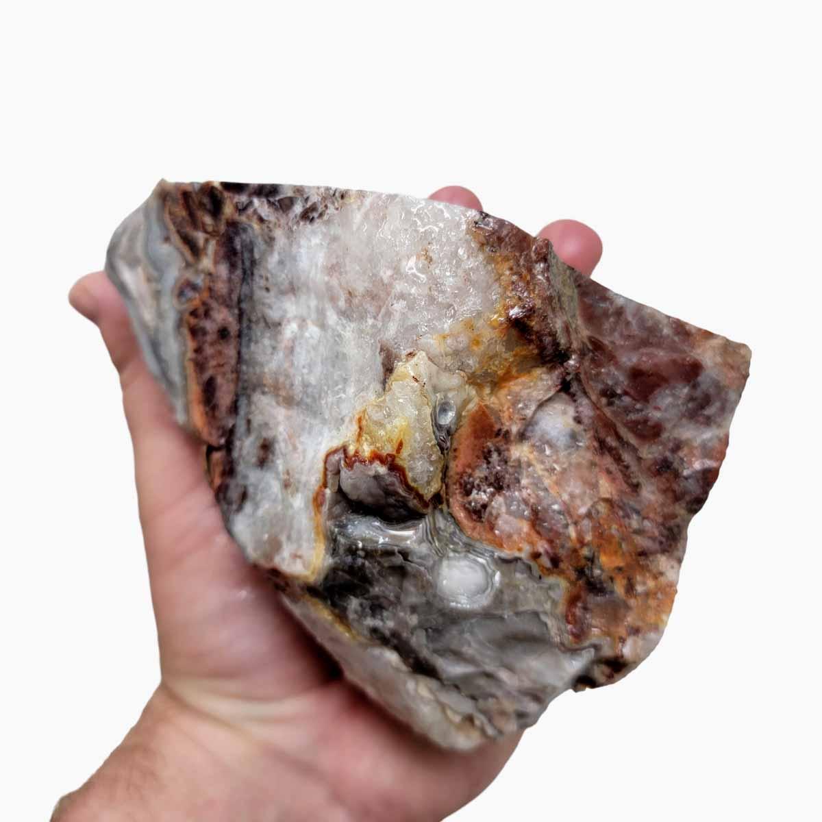 Laguna Lace Agate Cut Rough Chunk! - Lapidary Central