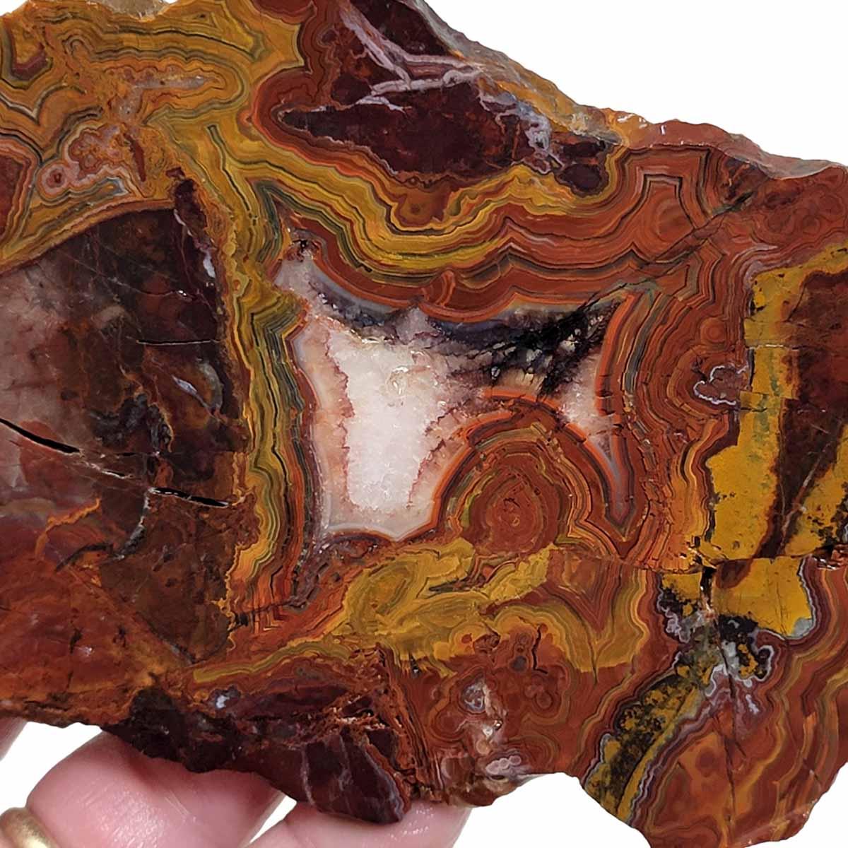 Laguna Lace Agate Slab! Lapidary Stone Slab! - LapidaryCentral