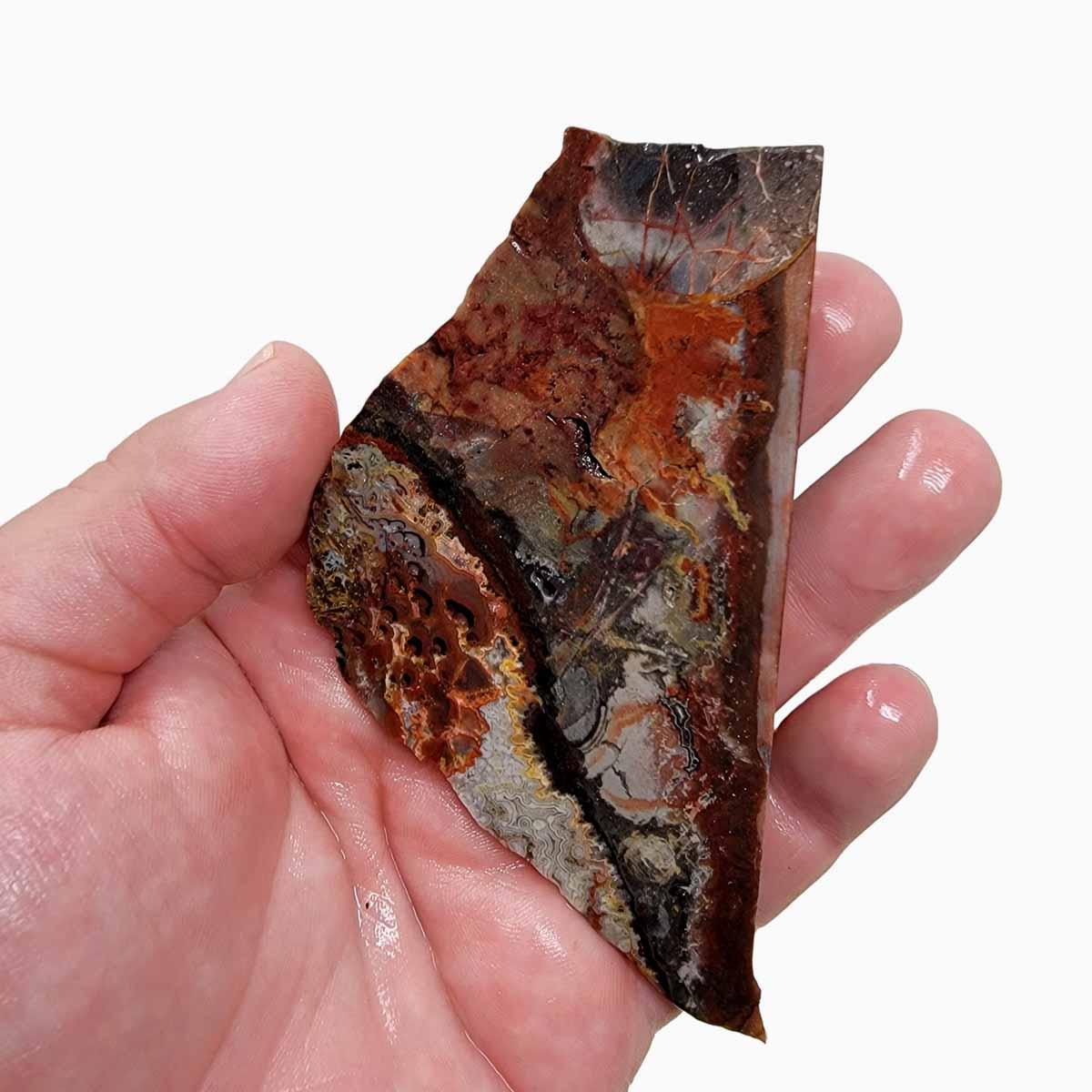 Laguna Lace Agate Slab! Lapidary Stone Slab! - Lapidary Central