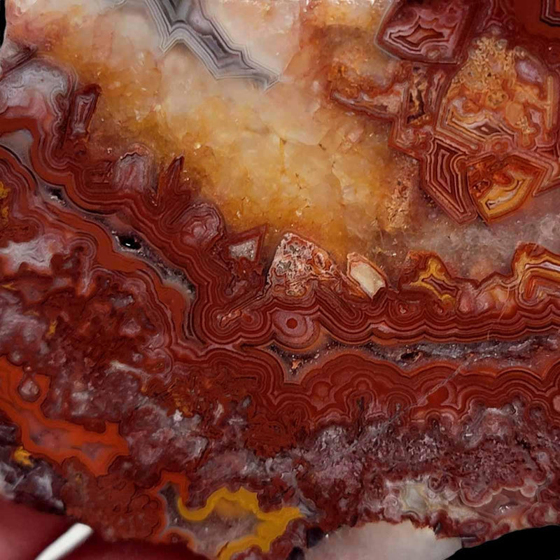 Laguna Lace Agate Slab! Lapidary Stone Slab! - LapidaryCentral
