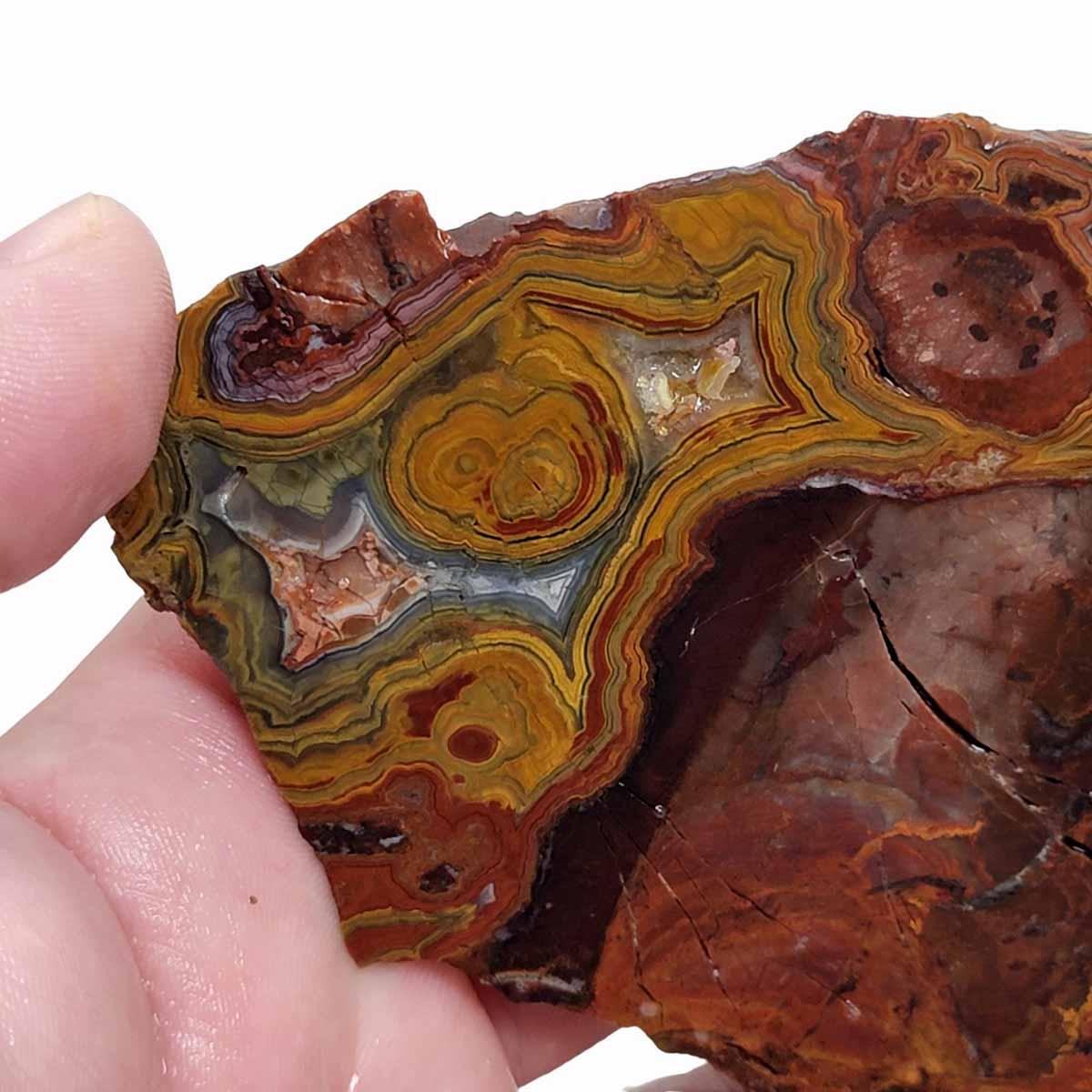 Laguna Lace Agate Slab! Lapidary Stone Slab! - LapidaryCentral