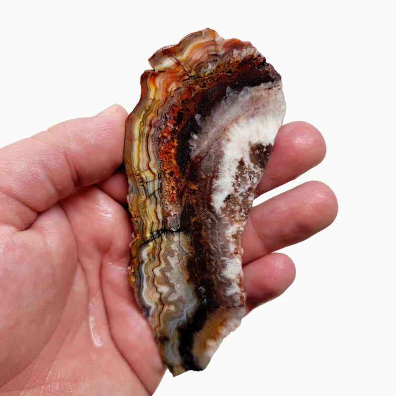 Laguna Lace Agate Slab! Lapidary Stone Slab! - LapidaryCentral