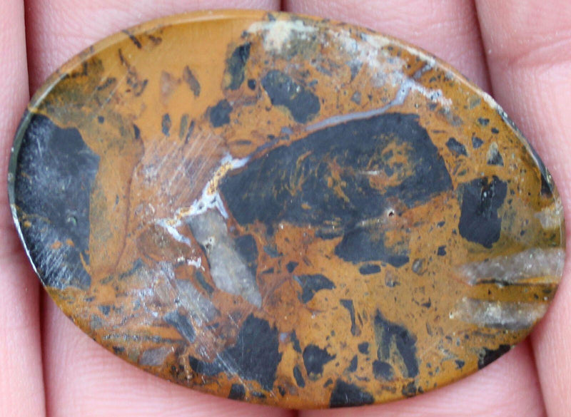 Yellow Jacket Jasper Cabochon! - LapidaryCentral