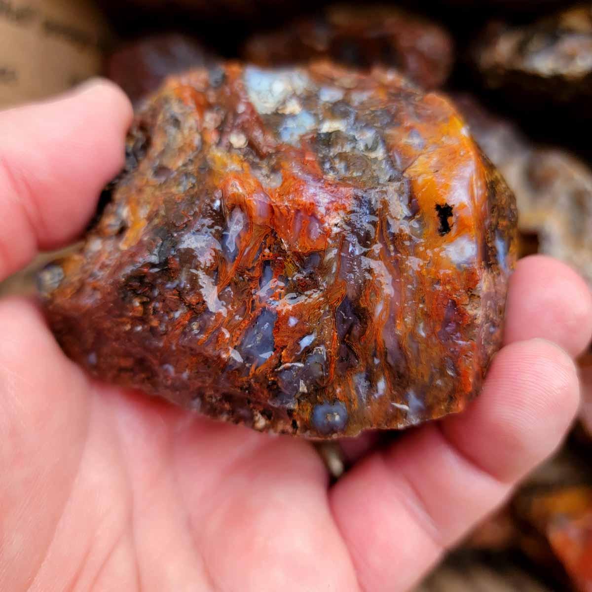 New San Carlos Moss Agate Lapidary Cutting Rough Flatrate! - Lapidary Central