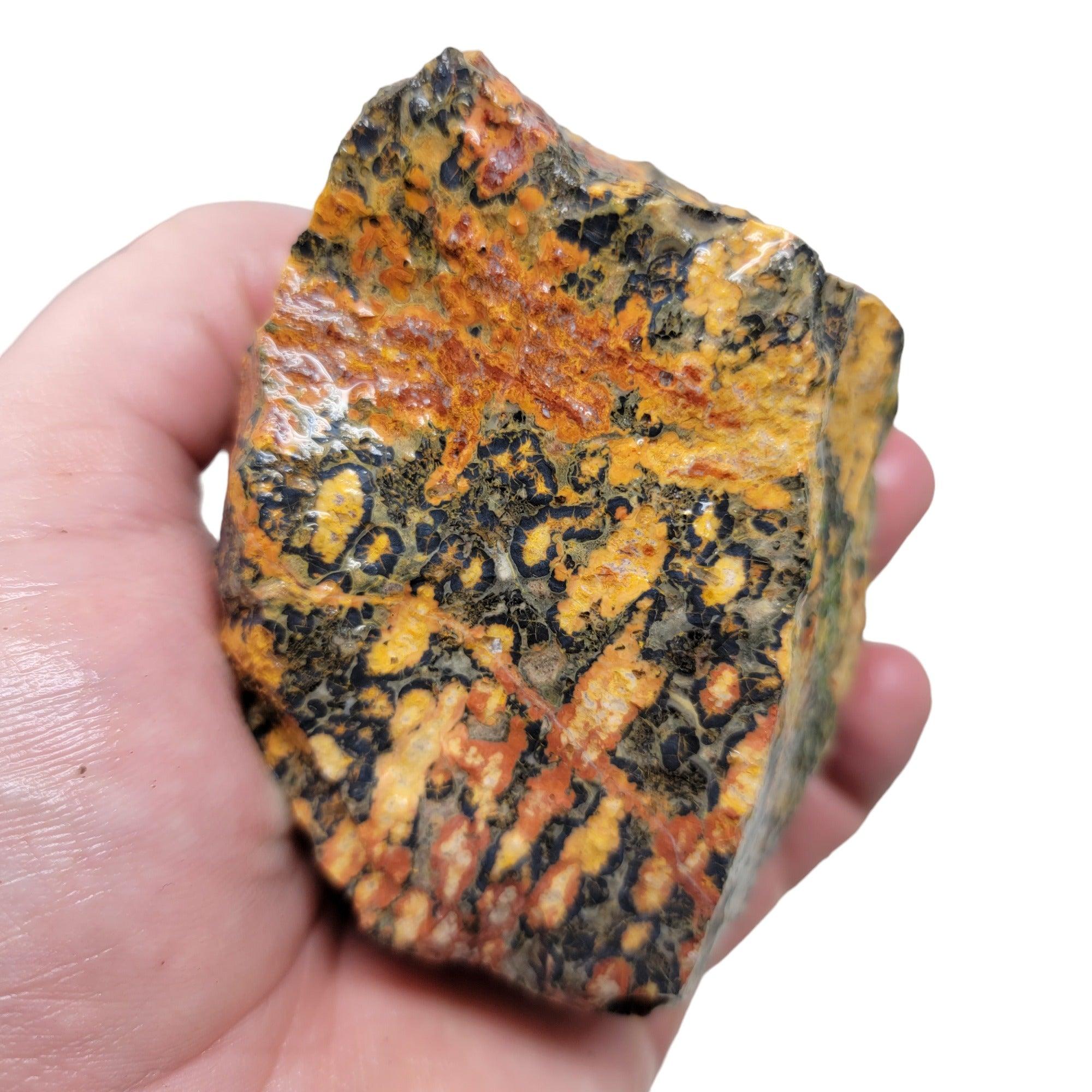 Leopard Skin Rhyolite Rough Chunk! - LapidaryCentral