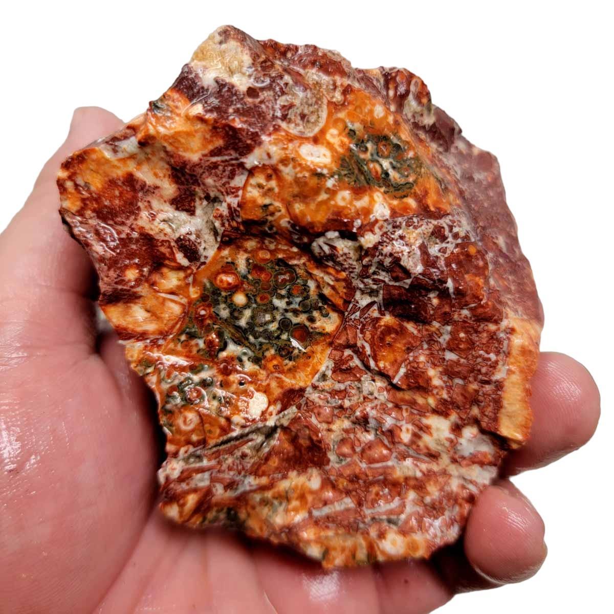 Leopard Skin Rhyolite Rough Chunk! - LapidaryCentral