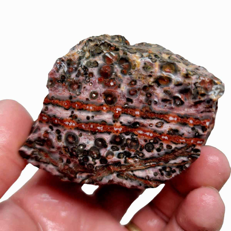 Leopard Skin Rhyolite Rough Chunk! - LapidaryCentral