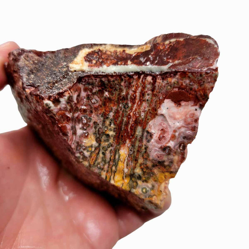 Leopard Skin Rhyolite Rough Chunk! - LapidaryCentral