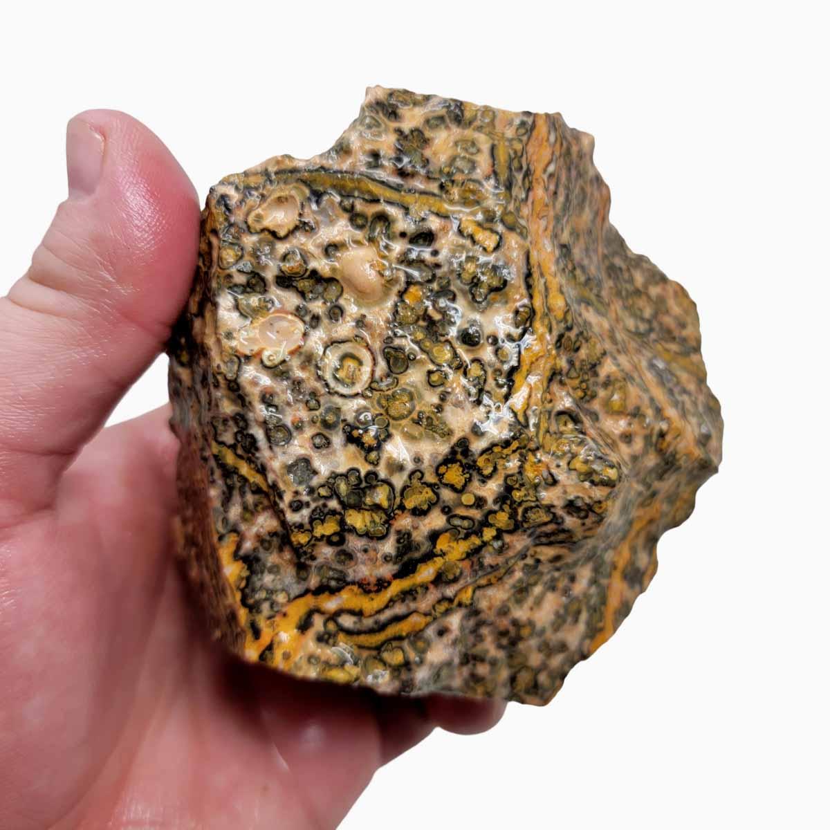 Leopard Skin Rhyolite Rough Chunk!