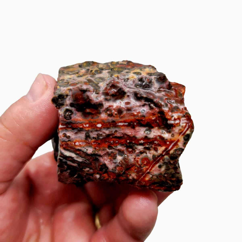Leopard Skin Rhyolite Rough Chunk! - LapidaryCentral