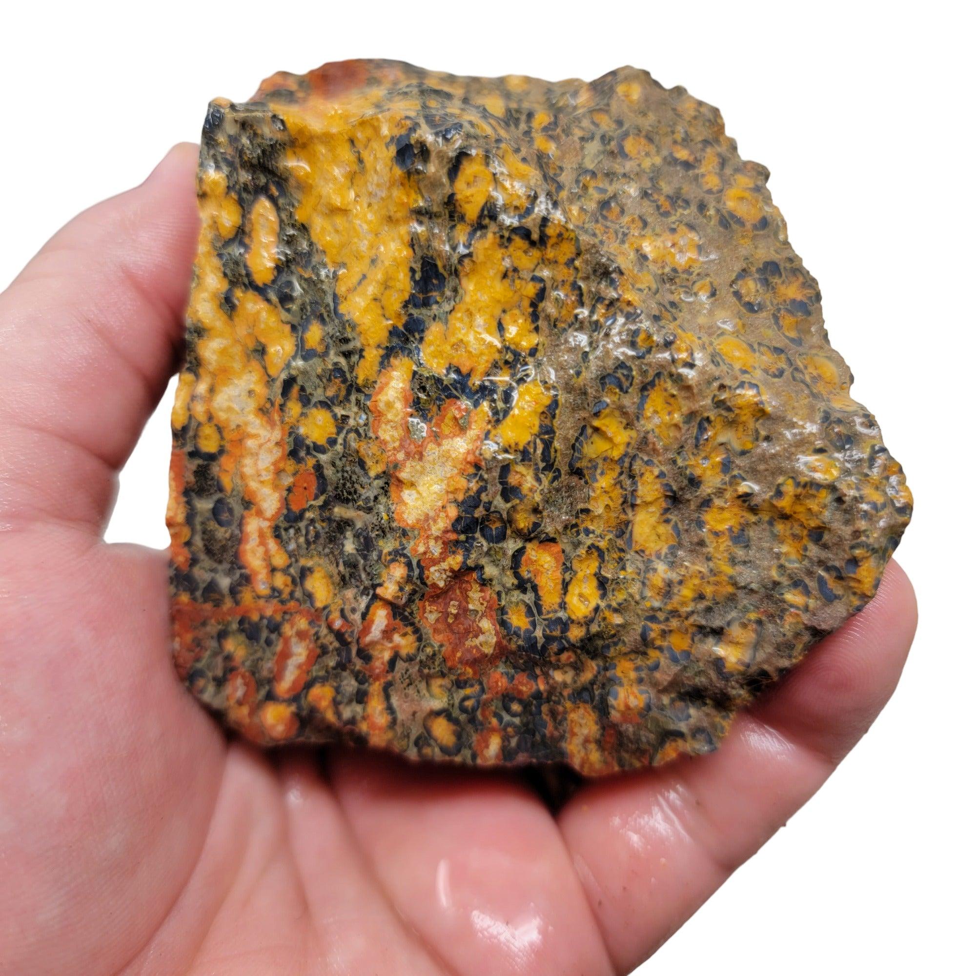 Leopard Skin Rhyolite Rough Chunk! - LapidaryCentral