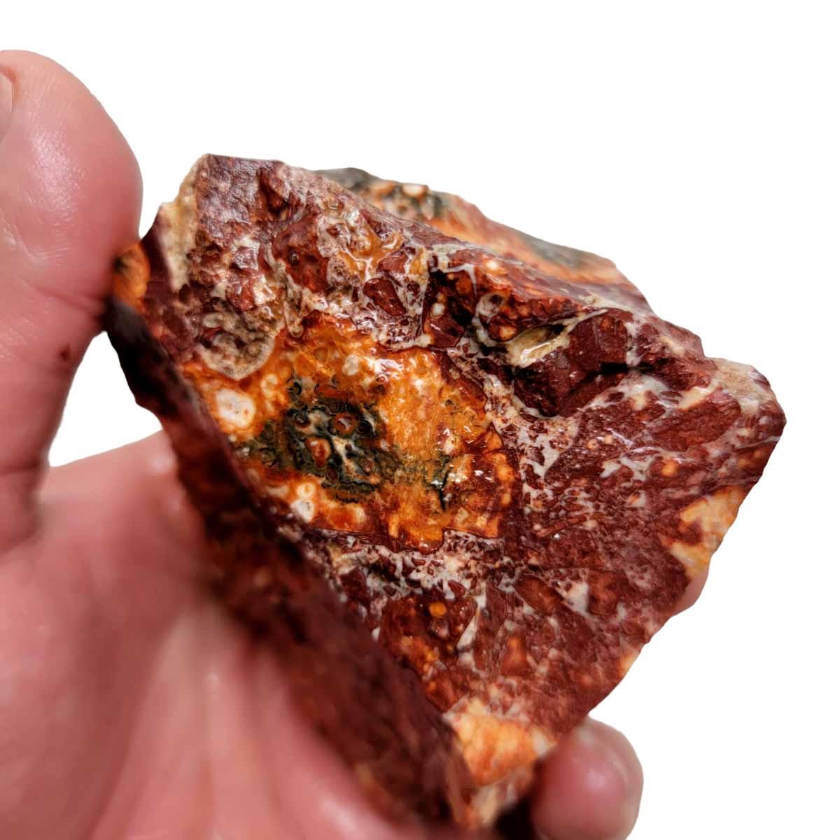 Leopard Skin Rhyolite Rough Chunk! - LapidaryCentral