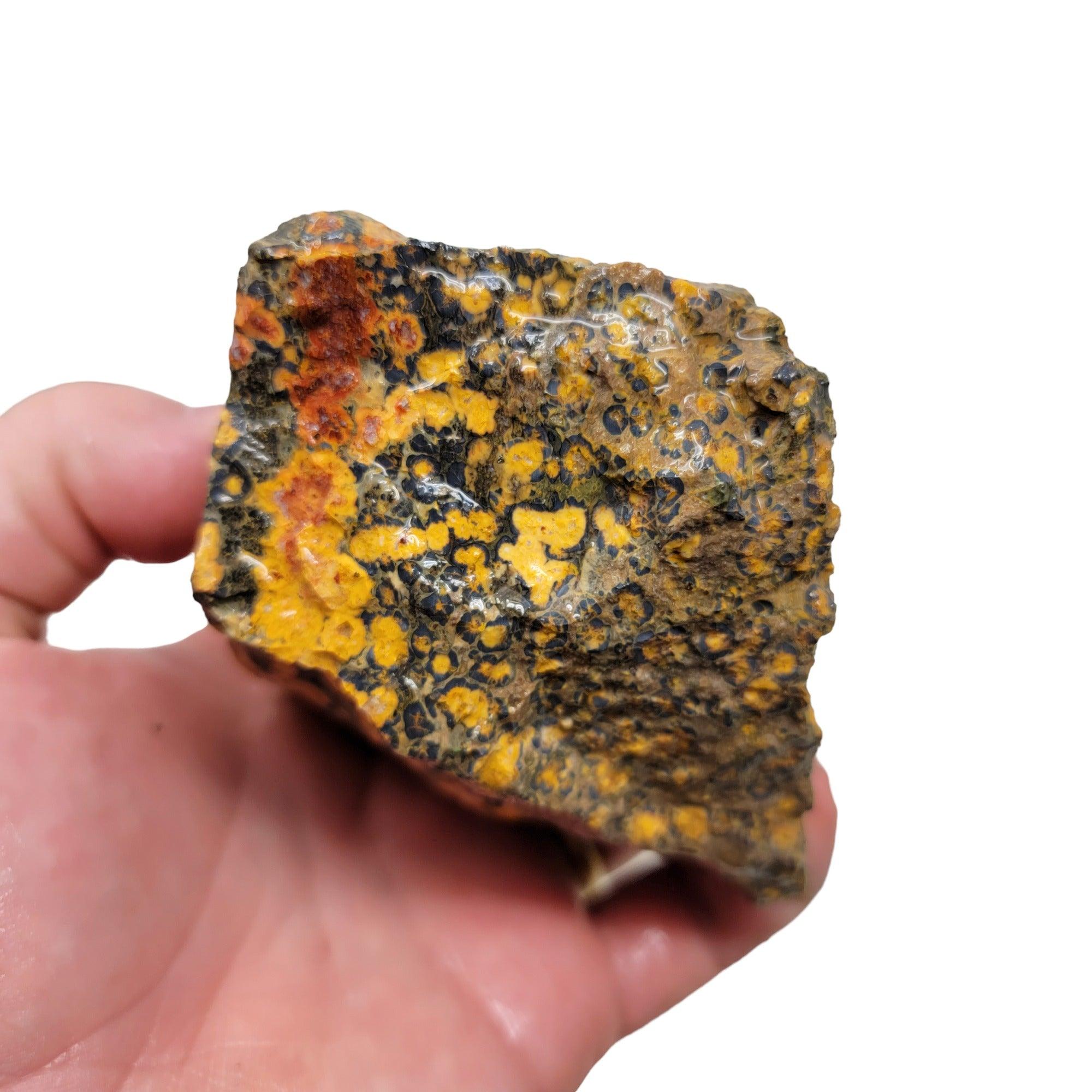 Leopard Skin Rhyolite Rough Chunk! - LapidaryCentral