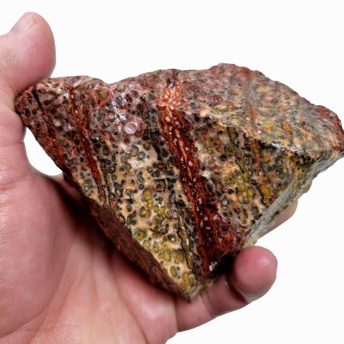 Leopard Skin Rhyolite Rough Chunk! - LapidaryCentral