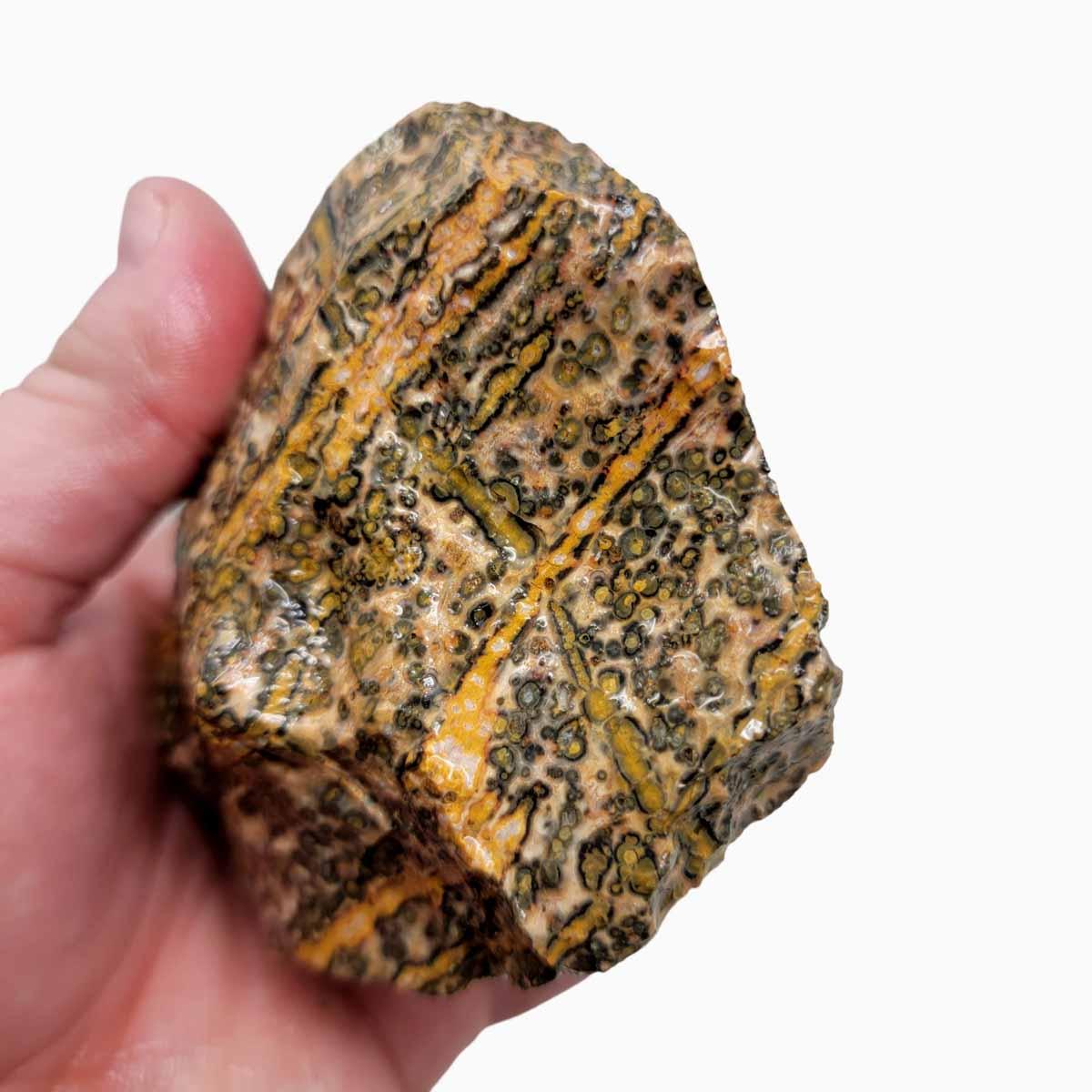 Leopard Skin Rhyolite Rough Chunk!