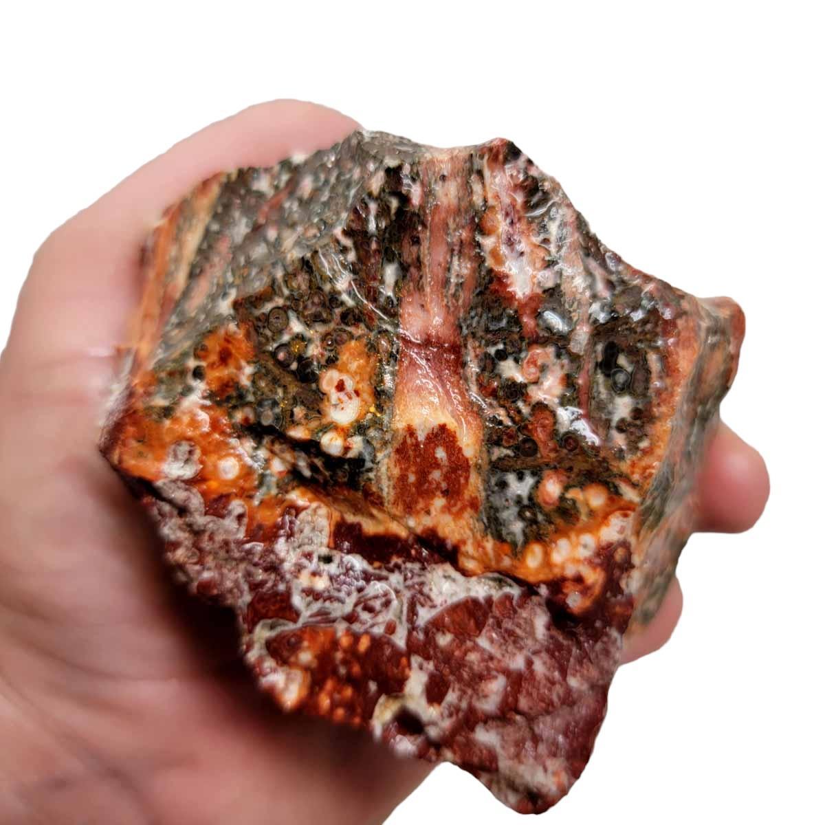 Leopard Skin Rhyolite Rough Chunk! - LapidaryCentral