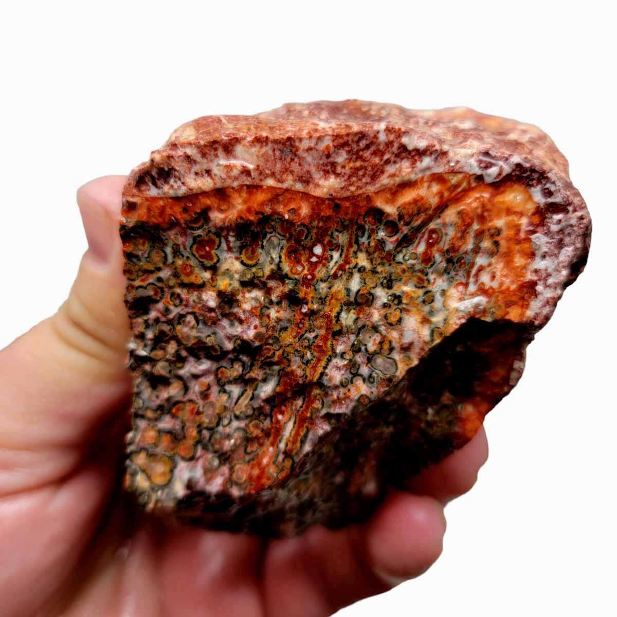 Leopard Skin Rhyolite Rough Chunk! - LapidaryCentral