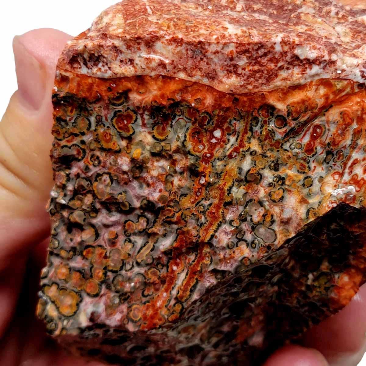 Leopard Skin Rhyolite Rough Chunk! - LapidaryCentral