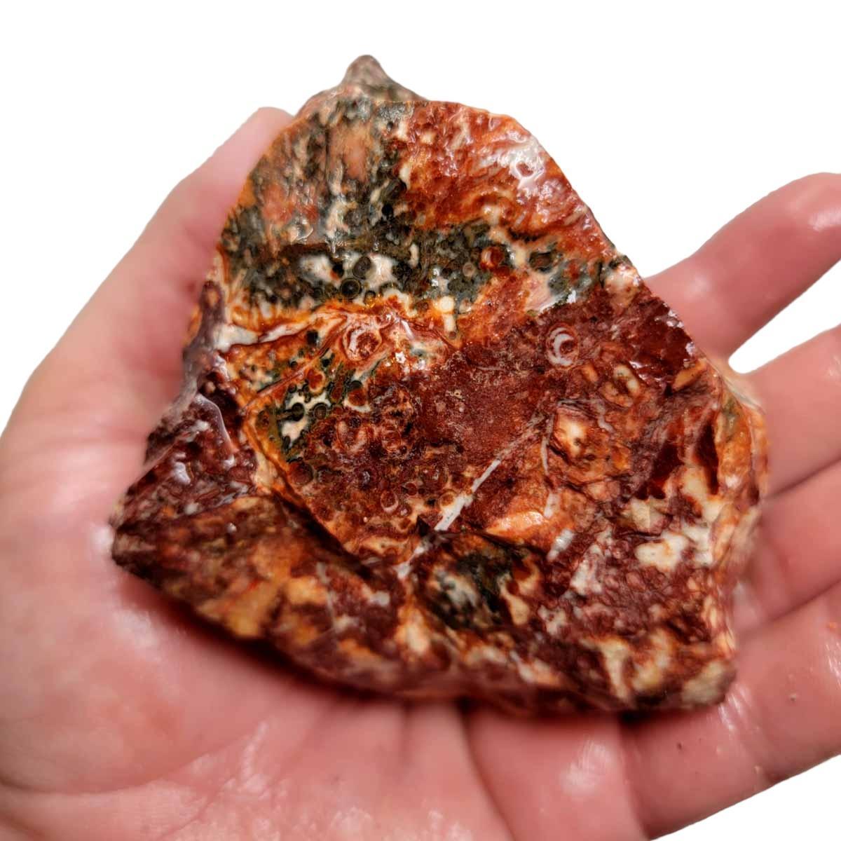 Leopard Skin Rhyolite Rough Chunk! - LapidaryCentral