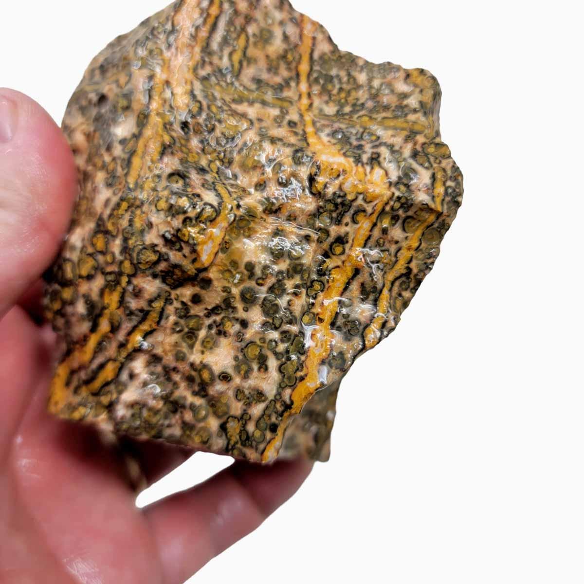 Leopard Skin Rhyolite Rough Chunk! - LapidaryCentral