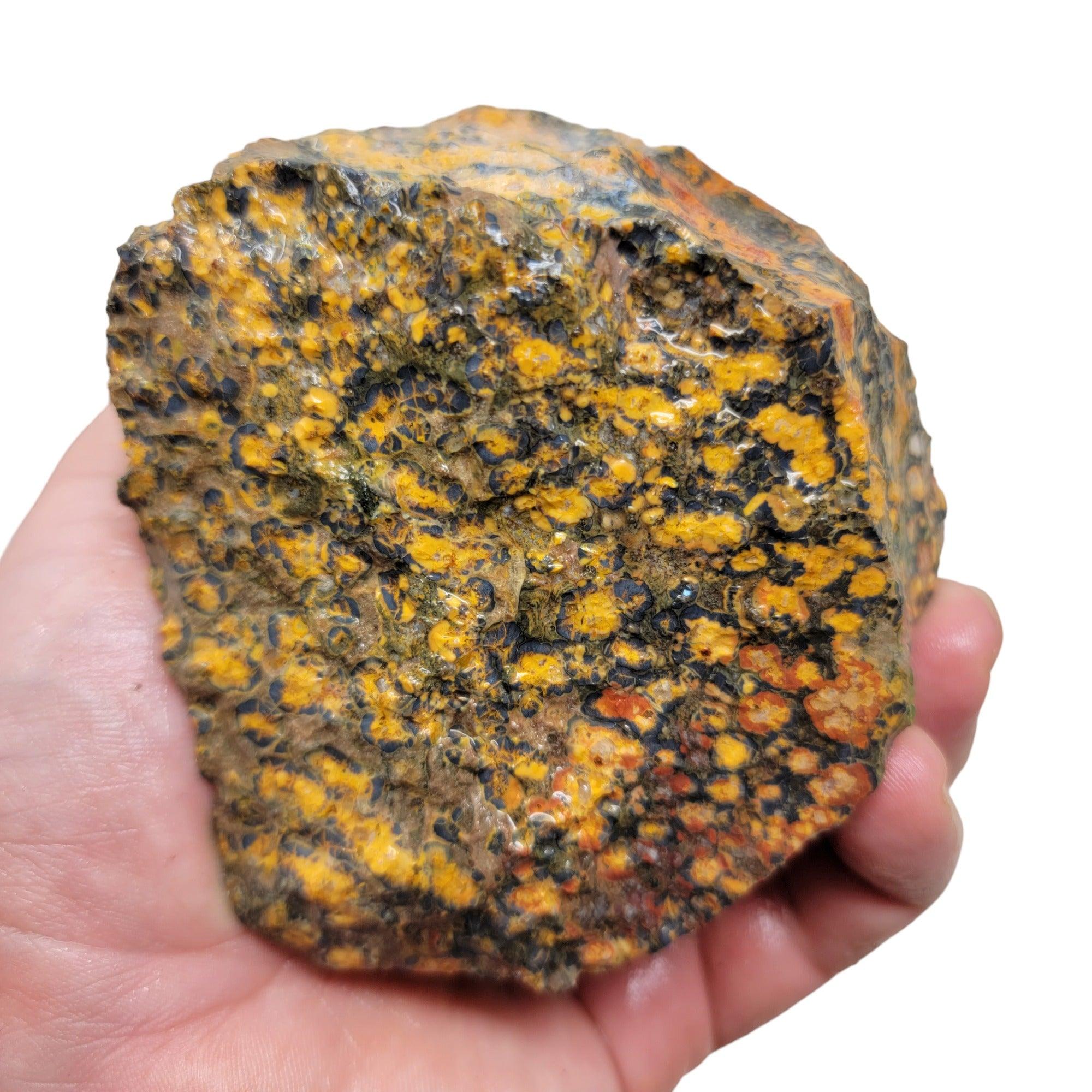 Leopard Skin Rhyolite Rough Chunk! - LapidaryCentral