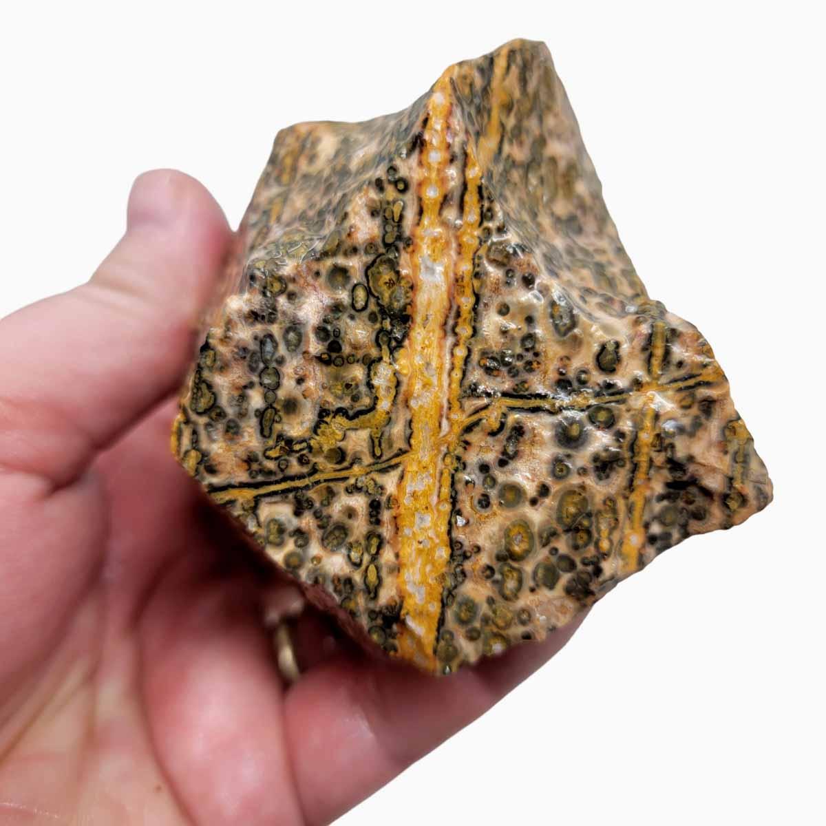 Leopard Skin Rhyolite Rough Chunk!