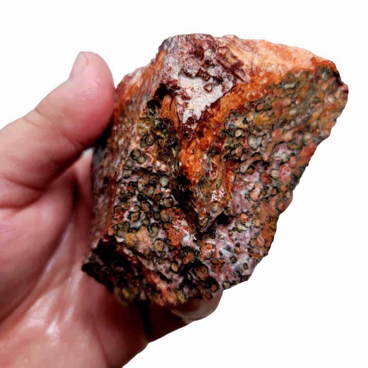 Leopard Skin Rhyolite Rough Chunk! - LapidaryCentral