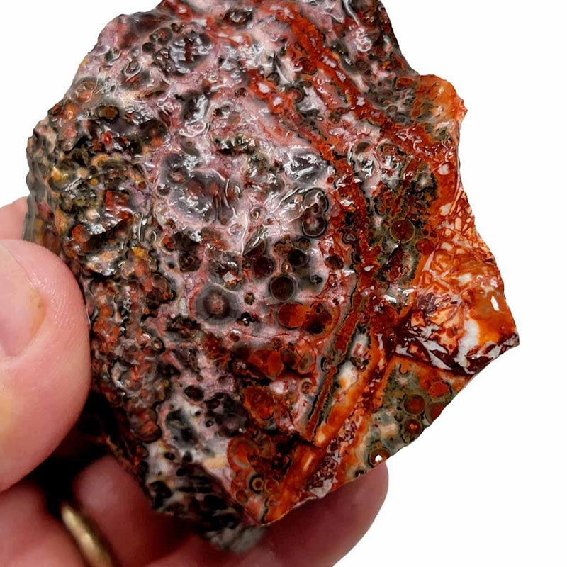 Leopard Skin Rhyolite Rough Chunk! - LapidaryCentral