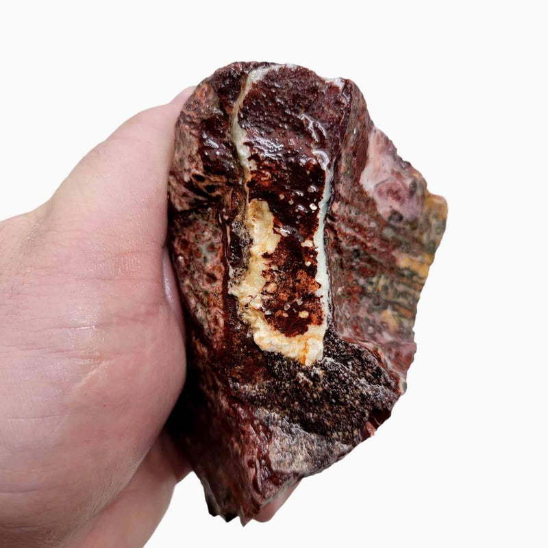 Leopard Skin Rhyolite Rough Chunk! - LapidaryCentral